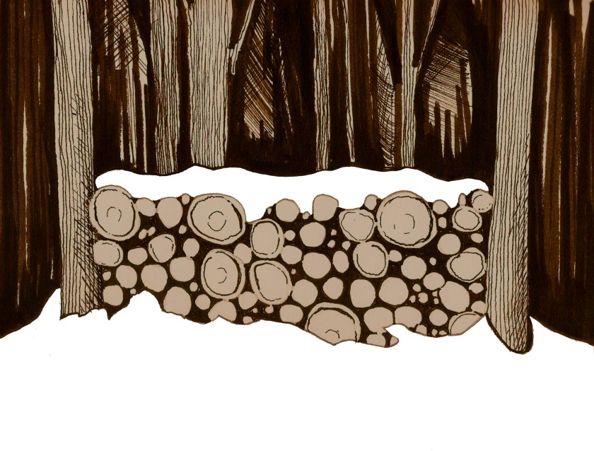 wood pile